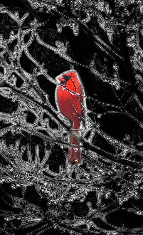  - Cardinal in an icy tree - by Tony Karp - Techno-Impressionist Museum - Techno-Impressionism
